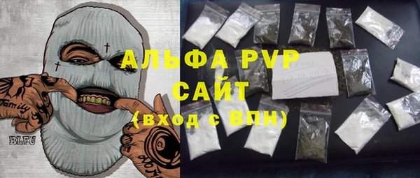 прущие крисы Бородино